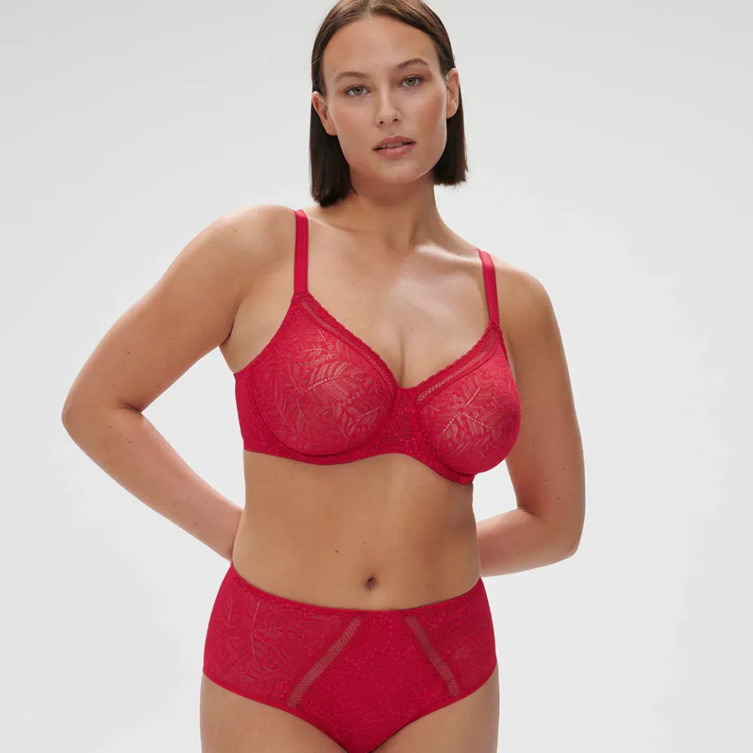 Comete Seamless Flat Lace Hi-Waist Bikini Panty
