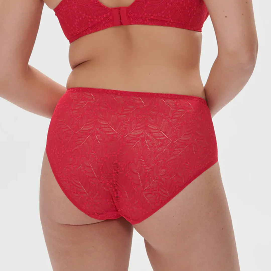 Comete Seamless Flat Lace Hi-Waist Bikini Panty