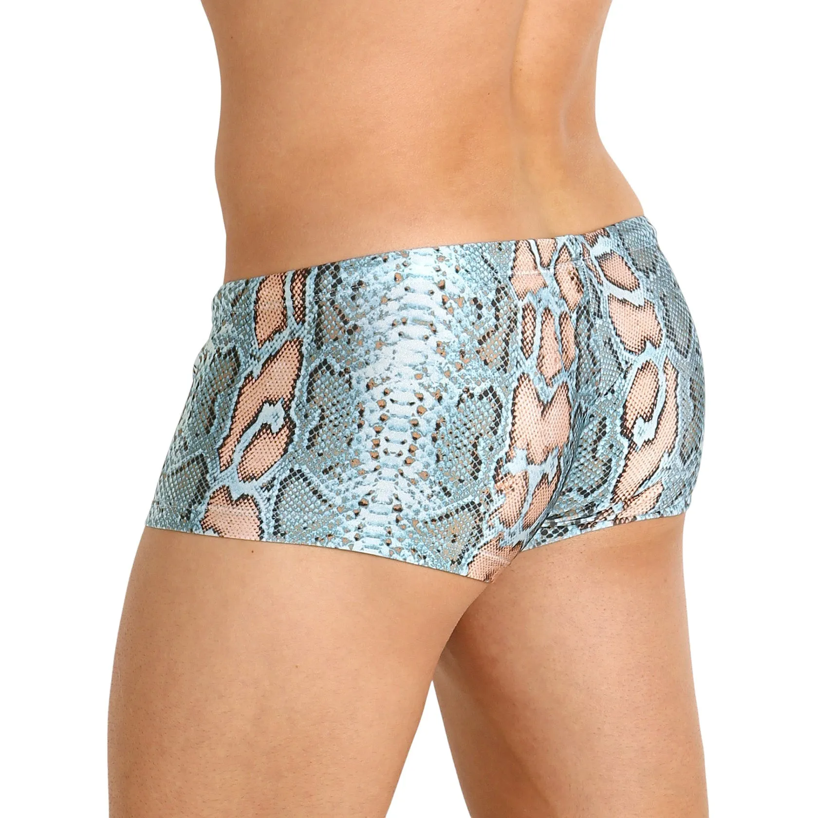 Rick Majors Blue Snake Low Rise Swim Trunks